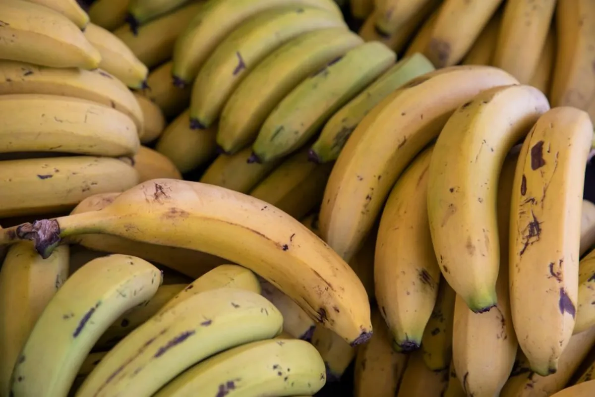 banana fruit